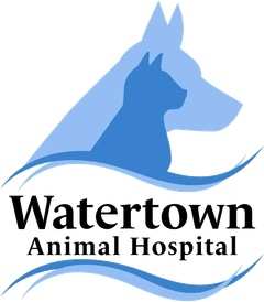 Watertown Animal Hospital